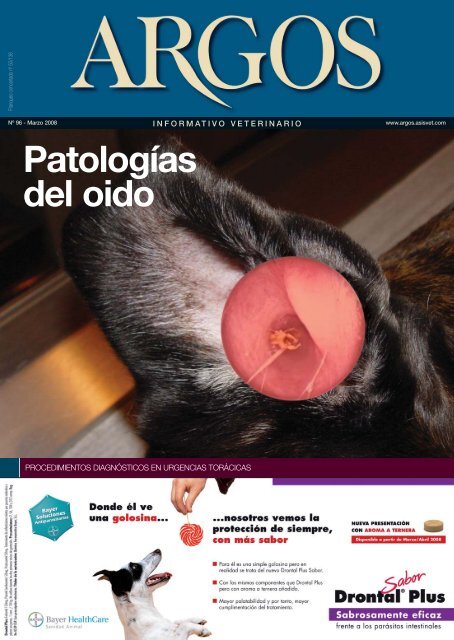 perros sangre de próstata fecia perros sangre de próstata fecia