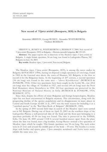 New record of Vipera ursinii (Bonaparte, 1835) in Bulgaria - National ...