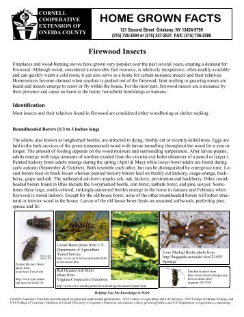 Firewood Insects .pub - College of Natural Resources