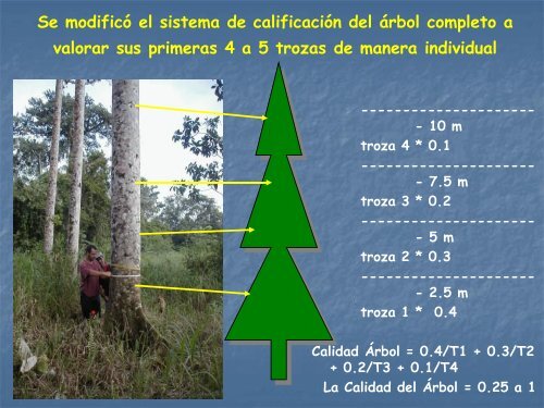 Diapositiva 1 - Tecnológico de Costa Rica