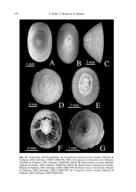 Molluscs from Hydrothermal Vents and Cold Seeps in Japan: A ...