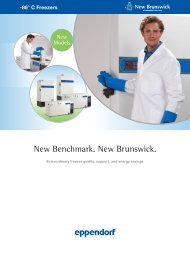 New Benchmark. New Brunswick. - LAB MARK