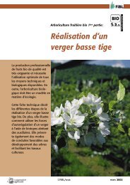 RÃ©alisation d'un verger basse tige - Centre d'agriculture biologique ...