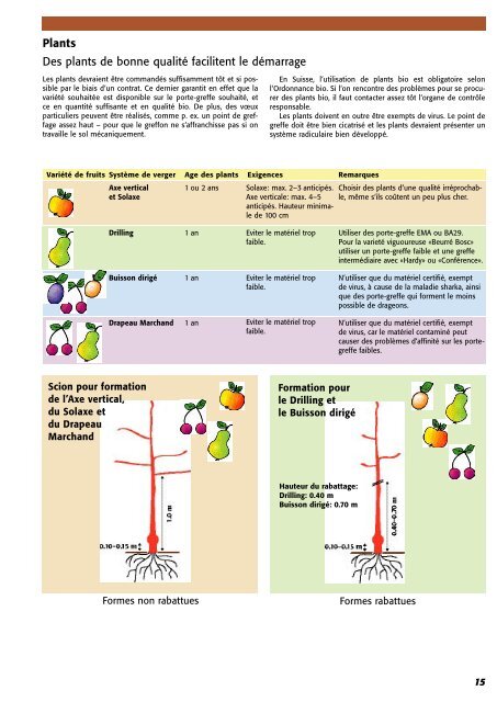 RÃ©alisation d'un verger basse tige - Centre d'agriculture biologique ...