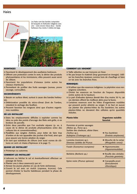 RÃ©alisation d'un verger basse tige - Centre d'agriculture biologique ...