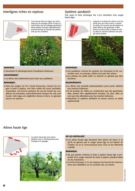 RÃ©alisation d'un verger basse tige - Centre d'agriculture biologique ...