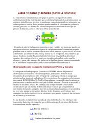 Clase 1: poros y canales (porins & channels)