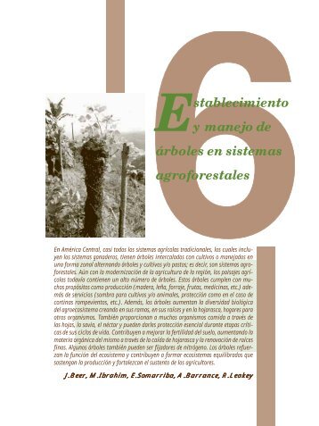Establecimiento y manejo de Ã¡rboles en sistemas agroforestales