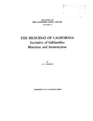THE MUSCIDAE OF CALIFORNIA - Essig Museum of Entomology ...