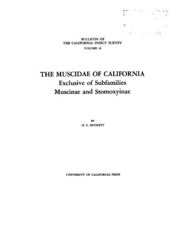 THE MUSCIDAE OF CALIFORNIA - Essig Museum of Entomology ...