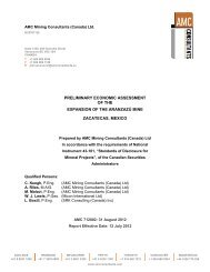 Preliminary Economic Assessment of the ... - Aura Minerals Inc.