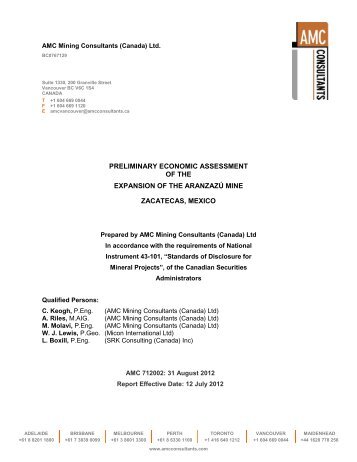 Preliminary Economic Assessment of the ... - Aura Minerals Inc.