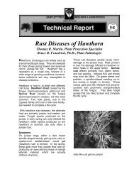 Rust Diseases of Hawthorn - Online Gardener