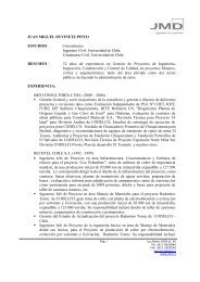 CV Juan Miguel Dyvinetz - Departamento IngenierÃ­a Industrial ...