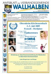 KW 27-2009 vom 03.07.2009 - Verbandsgemeinde Wallhalben