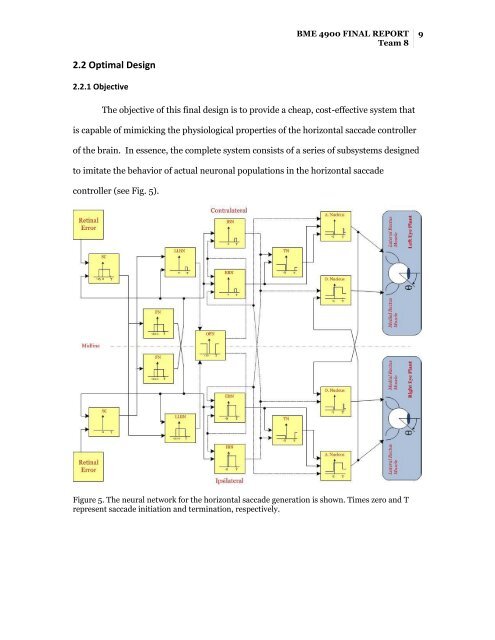 BME 4900 Final Report - Biomedical Engineering - University of ...