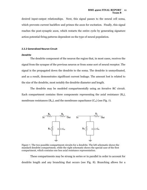 BME 4900 Final Report - Biomedical Engineering - University of ...