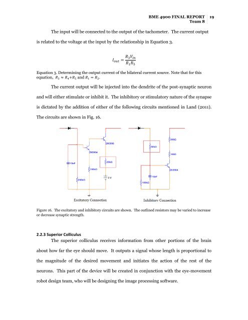 BME 4900 Final Report - Biomedical Engineering - University of ...