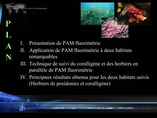 i. presentation de la pam fluorimetrie