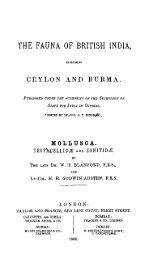 THE FAUNA OF BRITISH INDIA,