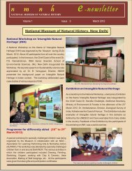 n m n h e-newsletter - National Museum of Natural History