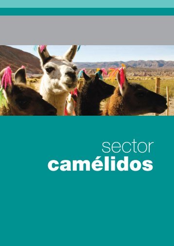 caméLidoS