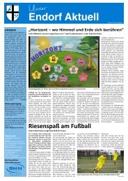 RiesenspaÃ am FuÃball - Sundern Endorf / Home