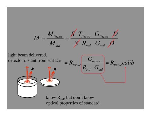 Lecture 2 - Center for Biomedical Optics and New Laser Systems