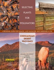 Chihuahuan Desert - Pollinator Partnership