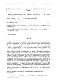 P23 - Pages perso - LCPC