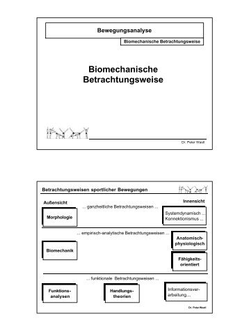 Biomechanische Betrachtungsweise