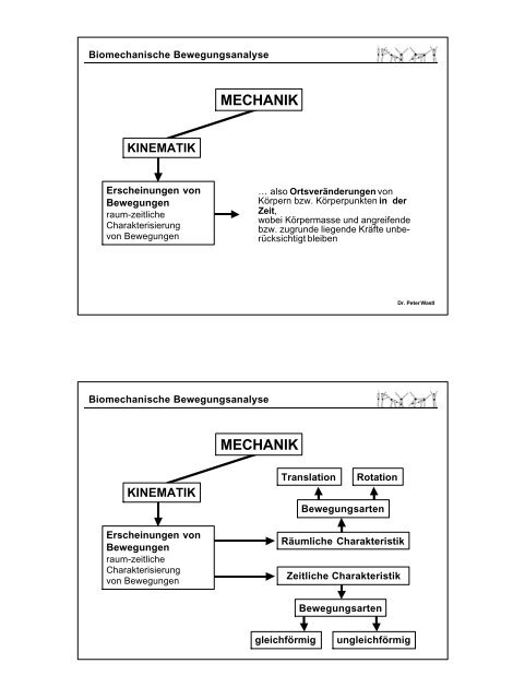 Biomechanische Betrachtungsweise