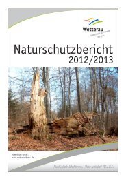 Naturschutzbericht 2012 2013 medium Titelbild ... - Der Wetteraukreis