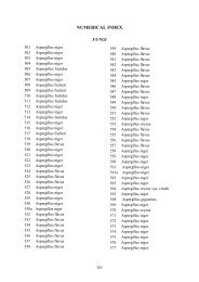 Numerical Index of Fungi