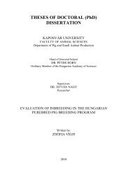 THESES OF DOCTORAL (PhD) DISSERTATION