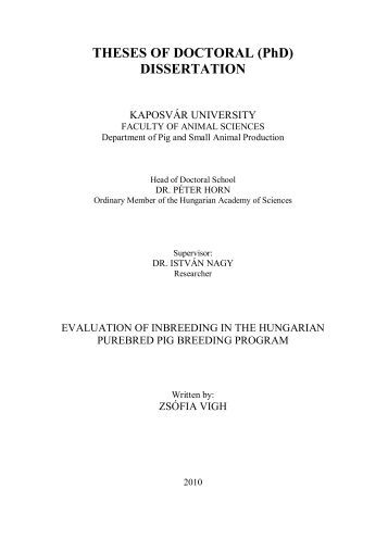 Dissertation doctorate thesis