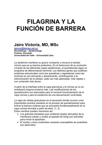 173 Filagrina y la funciÃ³n de barrera - Antonio RondÃ³n Lugo