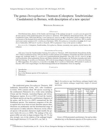 Coleoptera: Tenebrionidae: Cnodalonini - Staatliches Museum fÃ¼r ...