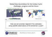 Global Data Assimilation for the Carbon Cycle: challenges ... - JULES