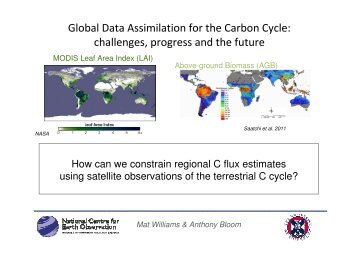 Global Data Assimilation for the Carbon Cycle: challenges ... - JULES