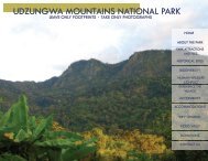 UDZUNGWA MOUNTAINS NATIONAL PARK - Stuckeman