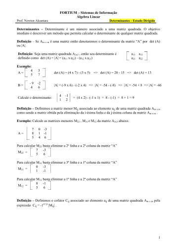 DETERMINANTES â Estudo dirigido