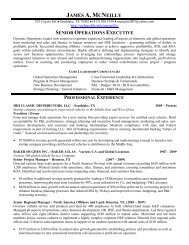 Resume - PDF - Webprofile.info