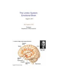 The Limbic System: Emotional Brain - BrainU