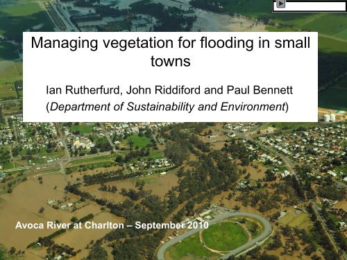 Managing vegetation to protect small towns from floods