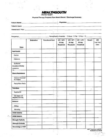 Healthsouth-Physical Therapy Flow Sheet.pdf - TriPoint Healthcare