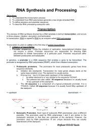 RNA Synthesis and Processing