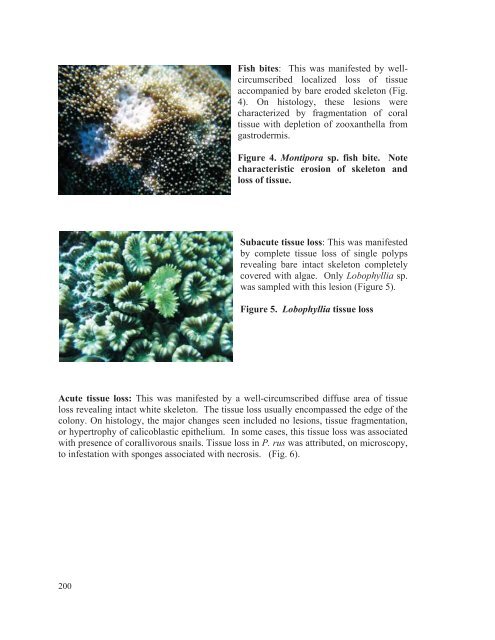 Coral Health and Disease in the Pacific: Vision for Action