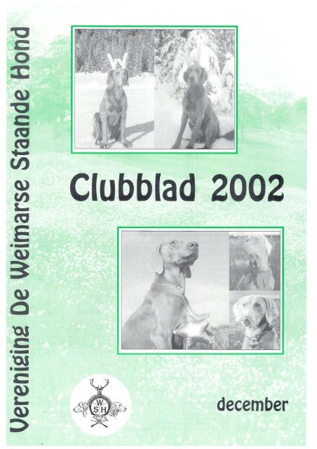 Editie 6 - De Weimarse Staande Hond