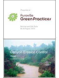 Canyon Erosion Control - Auroville Green Practices